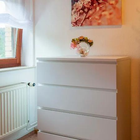 Brigittes Harz Apartment Wildemann