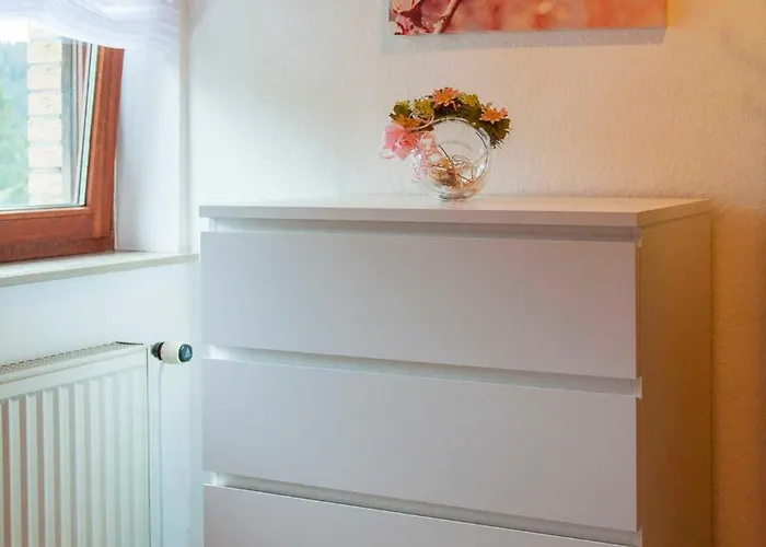 Brigittes Harz Διαμέρισμα Wildemann